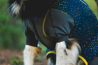 Ruffwear Climate Changer™ Coverall